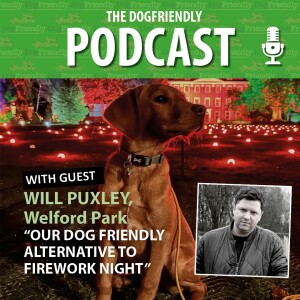 A Dog Friendly Alternative to Fireworks