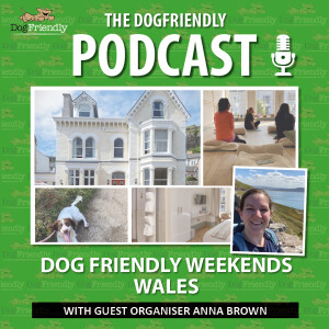 Dog Friendly Weekends in Wales with Anna Brown