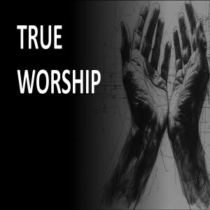 REFLECTIONS ON THE PSALMS | True worship 2 | Thanksgiving and praise | Tim Akinluyi
