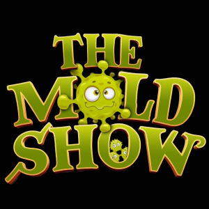Healing from Mold with Carly Bayless