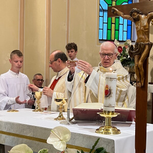 Peregrynacja Obrazu NSPJ w parafii pw. Nawiedzenia NMP w Małkowicach - abp Józef Michalik - homilia (09.06.2024)