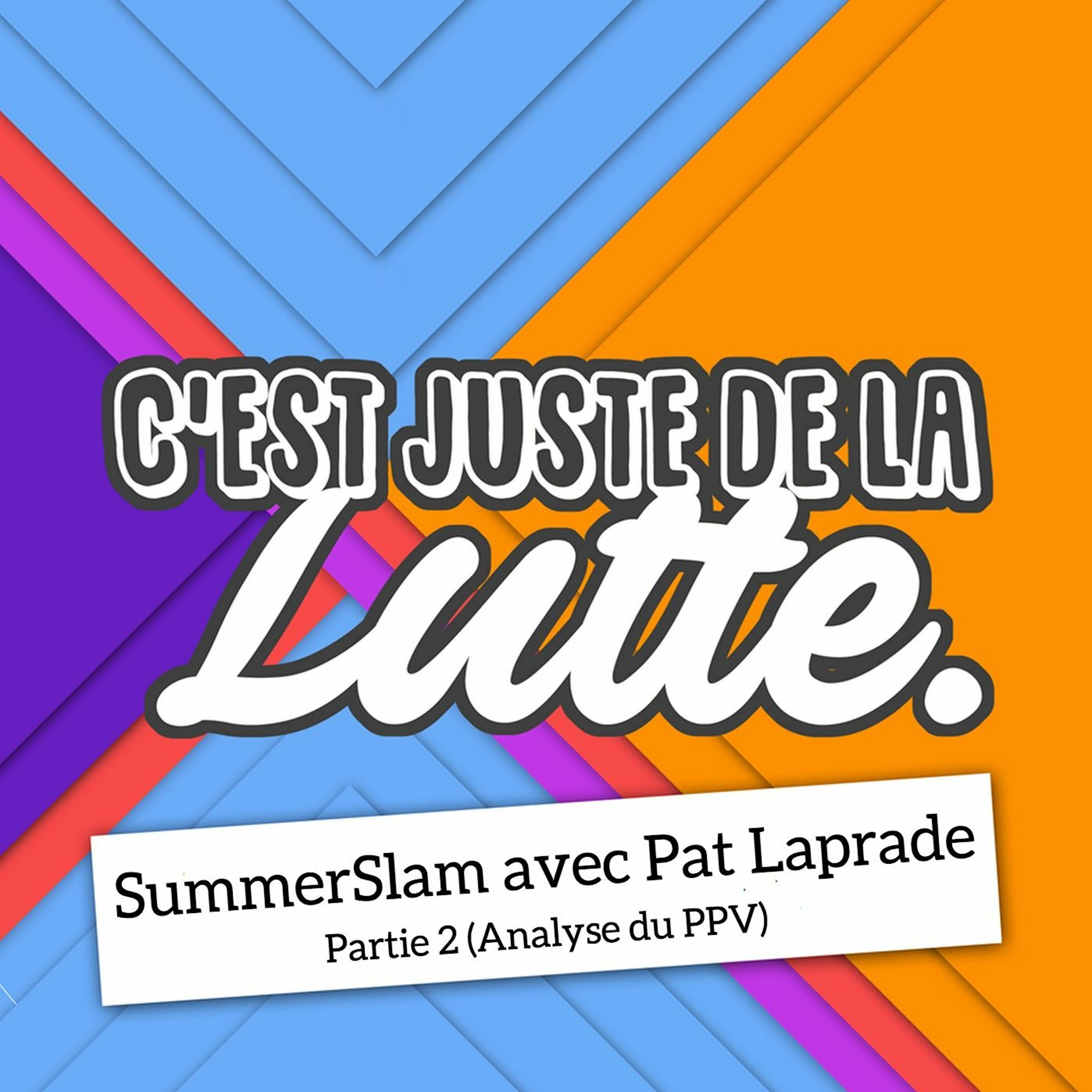 C’est juste de la lutte (CJDLL)