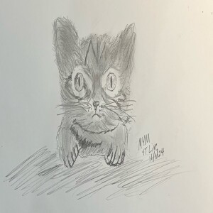 Monroe Mann - Drawing a Cat!