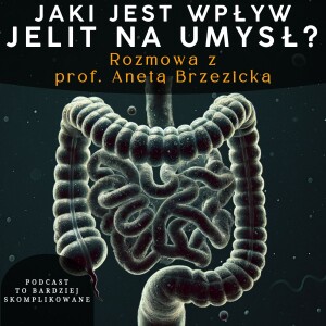#18 - Wpływ jelit na funkcje poznawcze, Mikrobiota, Oś jelito-mózg | prof. Aneta Brzezicka