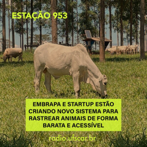 Estação 953 #25