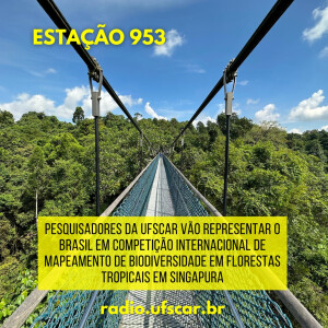 Estação 953 #58