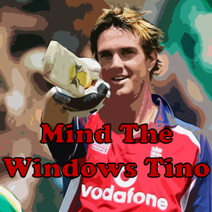 009: England in South Africa ODI series (Jan - Feb 2005): Pietersen's trio of tons, noughties cricketers kids, and Dhoni's eunuch infestation.