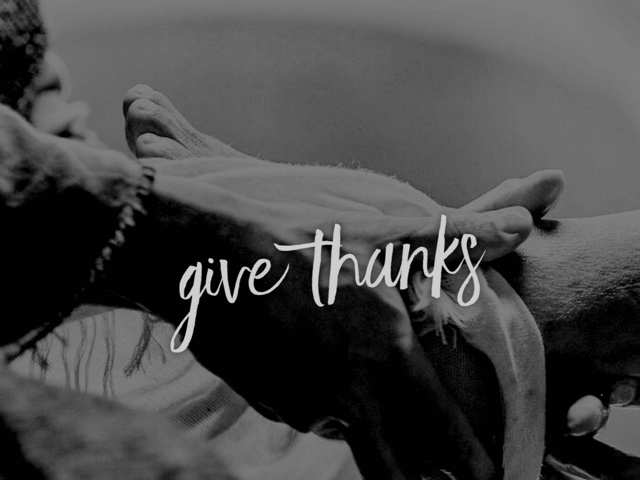 Give Thanks 2