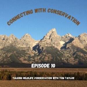 Episode 10: Talking wildlife conservation with Tom Taylor