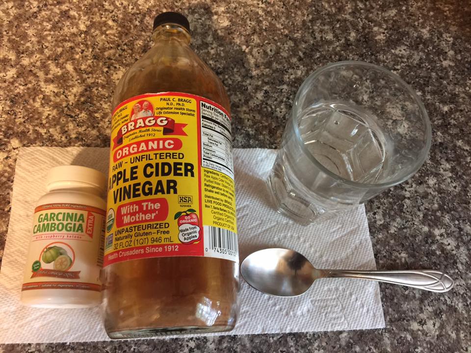 Using Garcinia Cambogia And Apple Cider Vinegar Diet For Weight Loss Review