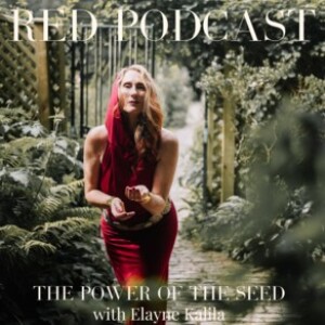 Episode 32 - THE POWER OF THE SEED