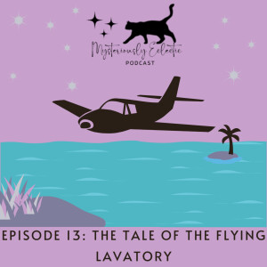 Episode 13. The Tale of the Flying Lavatory