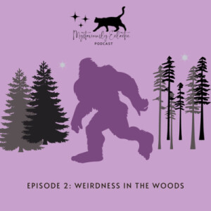 Episode 2- Weirdness in the woods