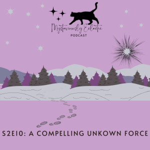 S2 E10: A Compelling Unknown Force