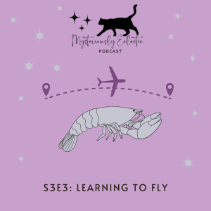 Season 3, Episode 3: Learning to Fly
