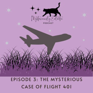 Episode 3: The Mysterious Case of Flight 401