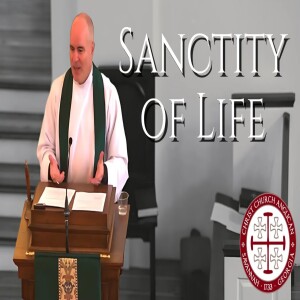 Sanctity of Life — Sermon by Rev. Craig Stephans