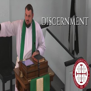 Discernment— Sermon by Rev. Bryan Biba