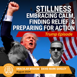 Stillness | Embracing Calm, Finding Relief, & Preparing for Action | Oracular Wisdom | David Mark Quigley