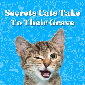 Secrets Cats Take To Their Grave