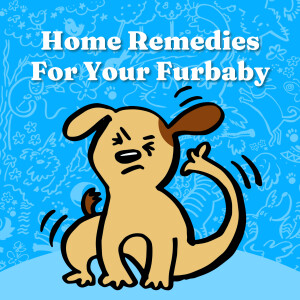 Home Remedies For Your Furbaby