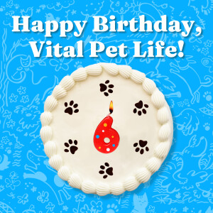 Happy Birthday Vital Pet Life!