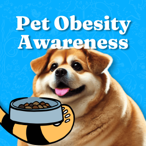 Pet Obesity Awareness and Care Tips