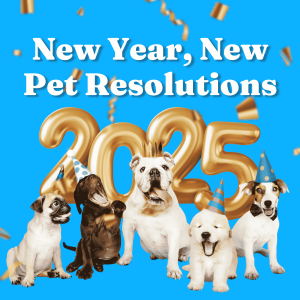 New Year, New Pet Resolutions