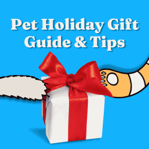 Pet Holiday Gift Guide and Tips