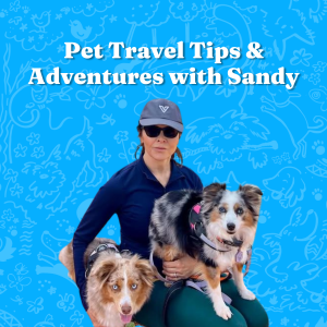 Pet Travel Tips & Adventures with Sandy