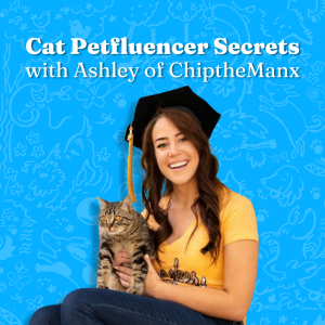 Cat Petfluencer Secrets with Ashley of Chip the Manx