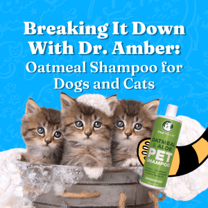 Breaking It Down with Dr. Amber: Oatmeal Shampoo for Dogs and Cats