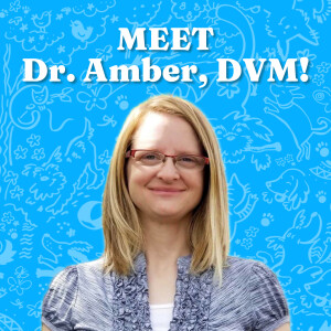 Meet Dr. Amber, DVM!