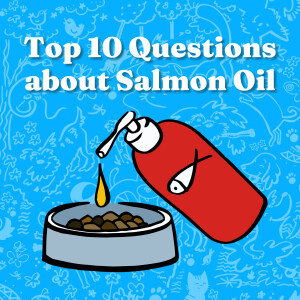 Top 10 Questions About Salmon Oil