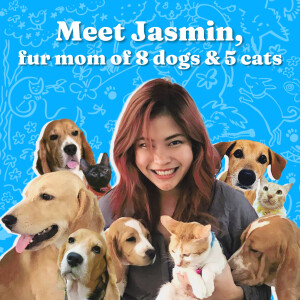 Meet Jasmin, fur mom of 8 dogs and 5 cats!
