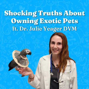 Shocking Truths About Owning Exotic Pets