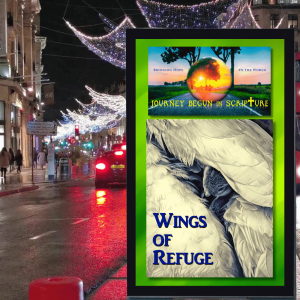 Episode 20 - Wings of Refuge