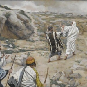 24th Sunday of Ordinary Time