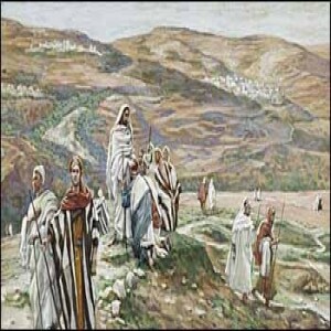 15th Sunday of Ordinary Time