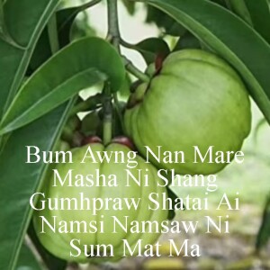 16 December 2024 Shana Laiza Fm Shiga