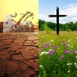 The Book of Joel – A Call to Repentance & Restoration