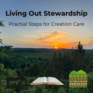 Living Out Stewardship: Practical Steps for Creation Care