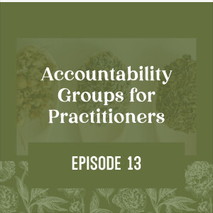 13 | Accountability Groups for Practitioners