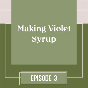 3 | Making Violet Syrup