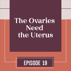 19 | The Ovaries Need the Uterus