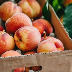 Experience the Best Organic Peaches Fruit Subscription Box and Delivery Plan