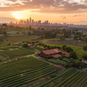 Why Bloom Ranch Is The Ideal Venue For Agricultural Farm Ranch Film And Photography Shoots Near Los Angeles