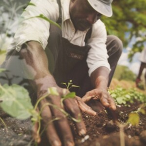 Empowering Black Leaders In Agriculture Through Bloom Ranch Initiatives