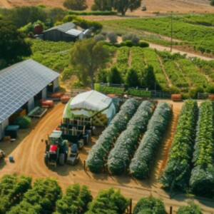 The Harmony Of Tradition And Innovation At Bloom Ranch