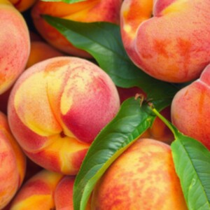 Tips and Techniques on How to Perfectly Freeze Whole Peaches With or Without Sugar